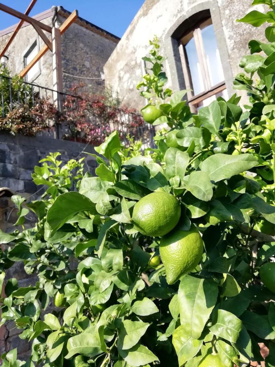 La Pietra Antica O' Munti Villa Mascali Bagian luar foto